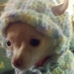 Meet your Posher, Gentle giants